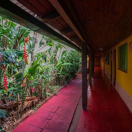 Hosteria Los Helechos Puerto Iguazú Esterno foto