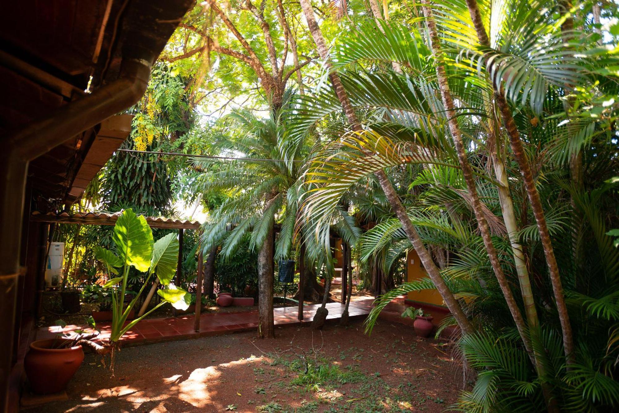 Hosteria Los Helechos Puerto Iguazú Esterno foto