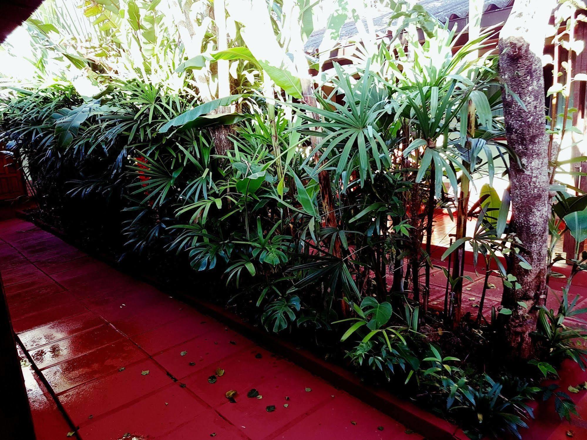 Hosteria Los Helechos Puerto Iguazú Esterno foto